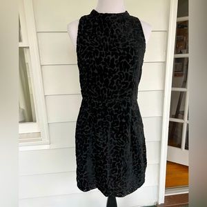 Dolce vita women’s black, leopard print dress with gold button neck closure